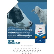 Reva Retox Biotox Elit 25 Kg Kraft - Hayvan Kızgınlık Artırıcı - Tırnak Problemi