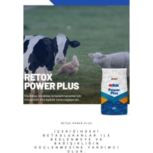 Reva Retox Power Plus Toksın Bağlayıcı Hayvan Yem Katkı 25 kg Kraft