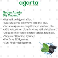 Agarta Doğal Hindistan Cevizi Özlü Aktif Karbonlu Diş Macunu 100 ml (3 ADET)