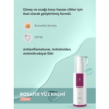 Alpinia Rosafix Yüz Kremi 75 Ml