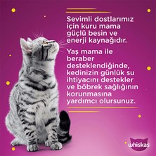 Whiskas Tavuklu Poşet Mama 85 gr