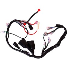 Mexıco 150 (125 Cc) Elektrik Tesisatı Orijinal