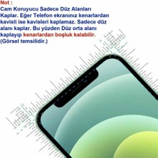 Microcase Samsung Galaxy A55 5g Tempered Cam Ekran Koruyucu - AL3269