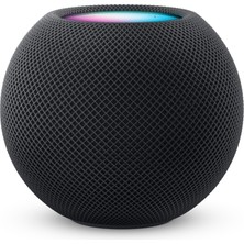 Homepod Mini - Uzay Grisi