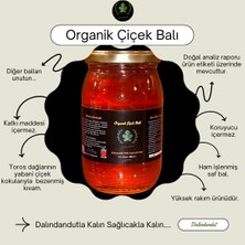 Dalındandut Yeni Mahsül Doğal Organik Çiçek Balı 500 gr