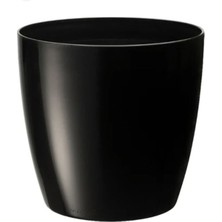 Serinova Rüzgar Yapay Çiçekçilik Serinova Yakut 3 4,4 Litre Saksı