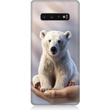 Teknomeg Samsung Galaxy S10 Plus Uyumlu Sevimli Kutup Ayısı  Desenli Silikon Kılıf