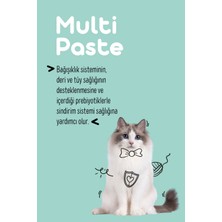 Vitpaw Multi Paste 100 Gr.(KEDİLER İÇİN BAĞIŞIKLIK GÜCLENDİRİCİ VE TÜY YUMAĞI ÖNLEYİCİ MULTİVİTAMİN)