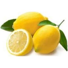 Doğan Fidancılık Tüplü Aşılı Yediveren Limon Fidanı 2 Yaş 90-120CM