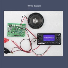 Guiwuu 2x TPM118B Dijital Ses Çalar Mp3 Dekoder Kartı Yüksek Kaliteli Taşınabilir Mp3 Çalar Modülü Bluetooth ve Fm Radyo ile (Yurt Dışından)
