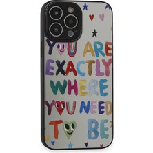 Newface Apple iPhone 13 Pro Kılıf Mirror Desenli Kapak - Mirror - 10 374113