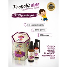 Fishake Kids Propolis Ekstraktı Özel Sıvı Formül ( Sprey - Damla ) 30 ml