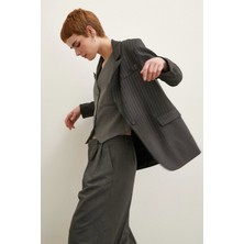 Never More  Çizgili Blazer Ceket Antirasit