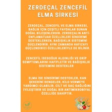 Abbas Efendi Zerdeçallı Zencefilli Elma Sirkesi 500 ml