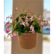 HandMadeSNM Kahverengi Jüt Sepet