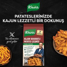 Knorr Kajun Baharatlı Patates Çeşnisi 60G X5 Adet