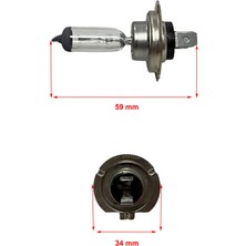 Auto Parts H7 24V 70W Standart Far Ampulü