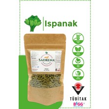 Sadrena Glutensiz & Vegan Yüksek Protein ve Lif Içeren Ispanaklı Makarna 200GR.