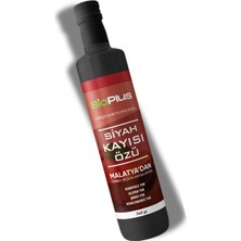 Bio Plus Siyah Kayısı Özü 340 G