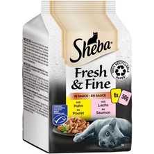 Sheba Pouch Fresh & Fine Sos Içerisinde Tavuklu ve Somonlu Yetişkin Konserve Kedi Maması 6 Adet 50 gr