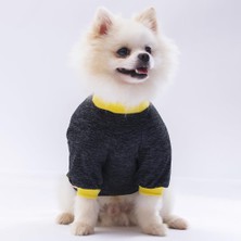 Pawstar Siyah Shine Kedi Köpek Sweati