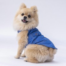 Pawstar Denim Look Kedi Köpek Gömleği