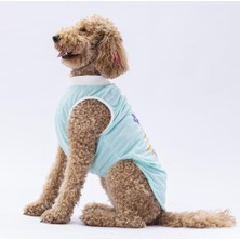 Pawstar Mint Joy Büyük Köpek Tişörtü 15 kg - 45 kg