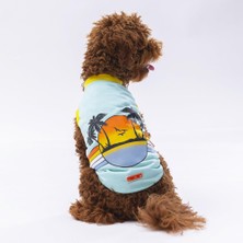 Pawstar Mint Sunrise Kedi Köpek Tişörtü