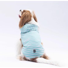 Pawstar Aqua Sunny Kapşonlu Kedi Köpek Tişörtü