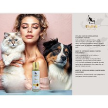 Stylish Exculusive Pet Cosmetics Stylish Kedi ve Köpekler Için Exculusive Parfüm Serisi ''flagranti''
