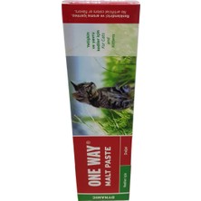 One Way Kedi Malt Macunu 100 gr