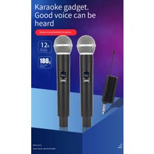 Coverzone Kablosuz Karaoke Mikrofonu 6.35mm Amfi Hoparlör İçin 600 Hz ila 800 KHz Çok Amaçlı Tak ve Çalıştır Kablosuz Mikrofon Dış Mekan İçin WN06