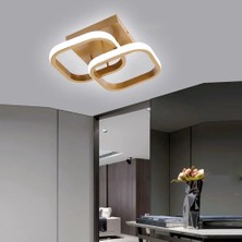 Ömür Avize Holled Gold Kasa Hol Koridor Giriş Için Modern Ledli Avize