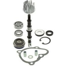 Kymco Xciting 250 Devirdaim Su Pompası