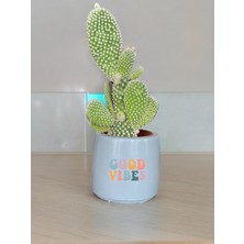Dekozayn Home Good Vibes Temalı Özel El Yapımı Hediye Saksı Model 113