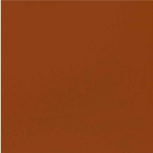 Liquitex Professional Akrilik Guaj Boya 59 ml Raw Sienna 330 S1