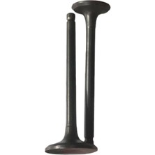 Honda Fizy 125 Sübap Takımı