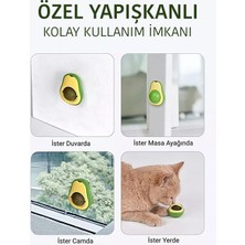 Zoovital Avakado Kedi Naneli Catnip Yalama Oyun Topu