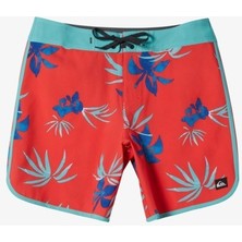 Quiksilver Surfsilk Scallop 18 Erkek Boardshort