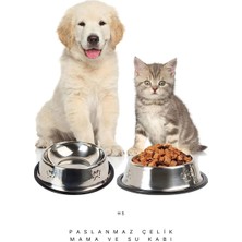 Hs Kedi ve Küçük Irk Köpek Çelik Mama Kabı