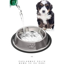 Hs Kedi ve Küçük Irk Köpek Çelik Mama Kabı