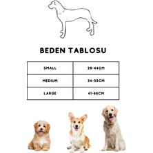 Pakeway ‘’ Flower ‘’ 2 Parça Çiçek Tasarımlı Köpek Tasması ve Kayışı - Gezdirme Seti