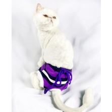 Kemique Modern Purp Kemique's Secret Kedi Iç Çamaşırı  Regl Külot  Don