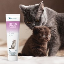 Vitexpert Kitten Paste Yavru Kediler Için Multi Vitamin Kas Gelişimi Destekleyici Malt Macun 100 gr