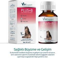 Vitexpert Plus B Tüm Kediler Için Tüy Dökülmesi Önleyici Tüy Sağlığı Destekleyici Multi Vitamin Damla 50 ml