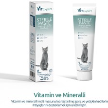 Vitexpert Sterile Paste Kısırlaştırılmış Kediler Için Multi Vitamin ve Mineralli Kısır Kedi Malt Macun 100 gr