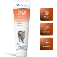 Vitexpert Multi Paste Tüm Kediler Için Multi Vitamin Tüy Sağlığı Destekleyici Malt Macun 100 gr