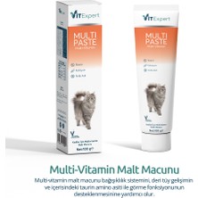 Vitexpert Multi Paste Tüm Kediler Için Multi Vitamin Tüy Sağlığı Destekleyici Malt Macun 100 gr