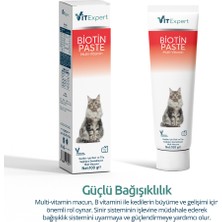 Vitexpert Biotin Paste Tüm Kediler Için Tüy Sağlığı Destekleyici ve Tüy Dökülmesi Önleyici Malt Macun 100 gr