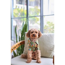 Salya Store Summer Flowers Yazlık Köpek Gömleği 0 - 15 kg